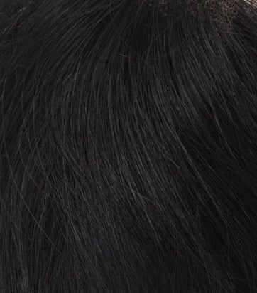 Hairline Band - Beginner-Friendly Wigs! 🔥